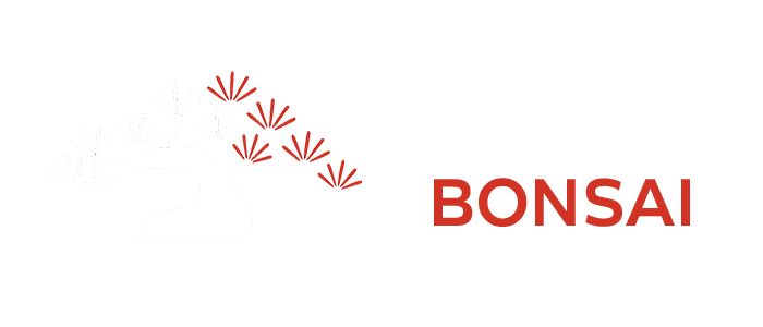 mistertree.com.ar